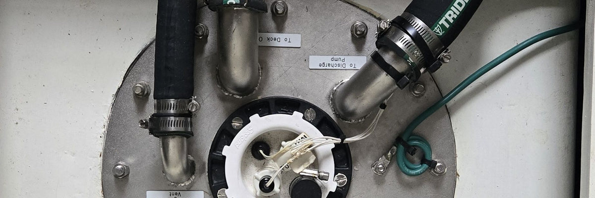 Holding tank fittings and hoses