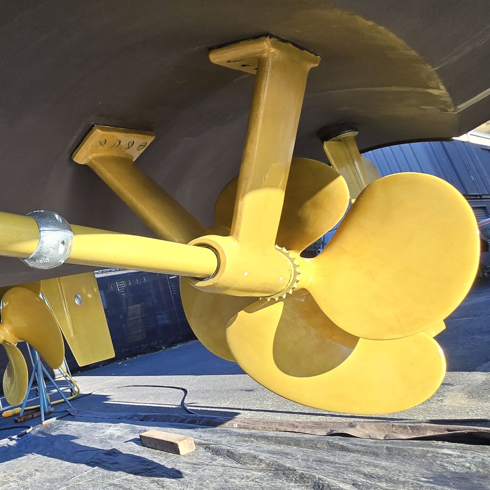 Propeller shaft and strut